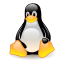 Perl Script for Linux